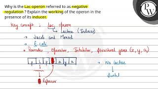 Why is the Lac operon referred to as negative regulation  Explain the working of the operon in [upl. by Kiran]