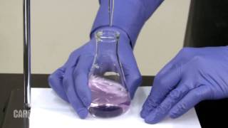 Setting up and Performing a Titration [upl. by Noryb891]