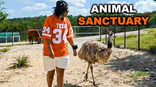 Agent Visits an Animal Sanctuary for the First Time [upl. by Otsedom]