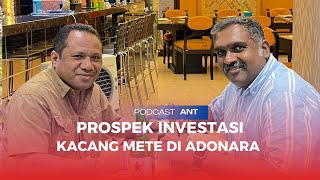 Prospek Investasi Kacang Mete Di Adonara podcast akunusatadon supa surya niaga florestimur [upl. by Vernice]