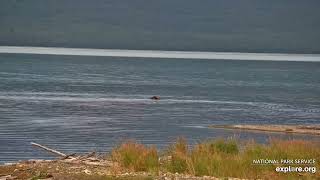 20240831 Snorkeling spit bear exploreorg [upl. by Nehpets]