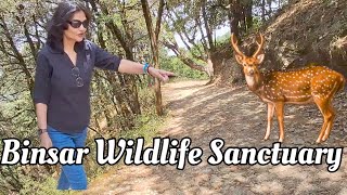 BINSAR Wildlife Sanctuary 🦌🐧Vlog [upl. by Akirdnwahs]