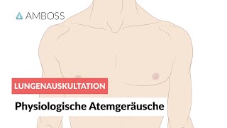 Physiologische Atemgeräusche  Lungenauskultation  Folge 2  Atemgeräusche [upl. by Leeda]