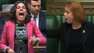 WHINGING Labour MP embarrasses herself silenced by Speaker ‘ORDER’ [upl. by Kelly848]