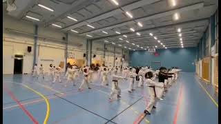 Champion taekwondo klubb Gradering vårtermin 2021 [upl. by Inga]