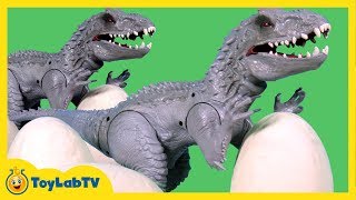 Jurassic World Toys Indominus Rex Dinosaur Action Figure amp Play Doh Surprise Dinosaur Eggs [upl. by Evad872]