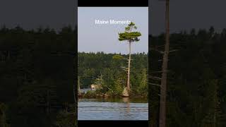 Maine Moments now playing at a lake practically anywhere in the state [upl. by Meadow]