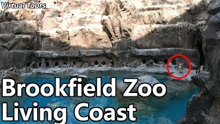 Brookfield Zoos Living Coast  Virtual Tours [upl. by Kleinstein985]