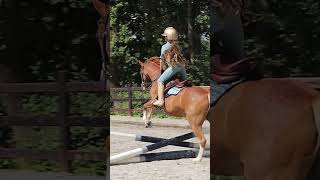 EDIX child Alydar jumping saddle selinvanvliet [upl. by Aztinad492]