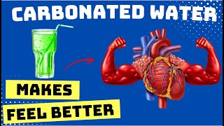 Why CARBONATED WATER Makes You FEEL BETTER [upl. by Piotr]