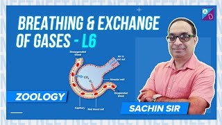 Regulation of Respiration  Breathing amp Exchange of Gases Class 11 Biology Concept  Dr Sachin Kapur [upl. by Liartnod]