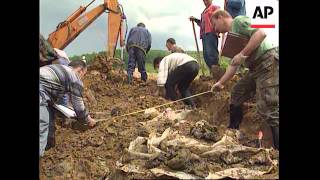 Bosnia  Mass Graves Excavated [upl. by Barron]