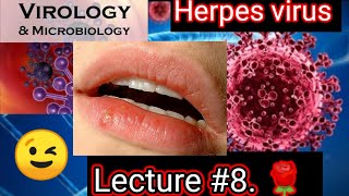 herpes virus microbiology herpes virus replication cycle ❤️❤️ clinicalVirology microbiology [upl. by Alyakem499]