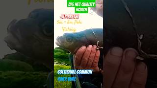 Big net quality roach and bream Coltishall common River Bure fishing fish riverfishing [upl. by Alimhaj]