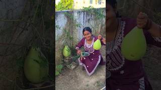 1G 2G 3G cutting कुछ नहीं आती🌿🌿 minivlog shortvideos organic organicgarden Southpearl99 [upl. by Luapnhoj]