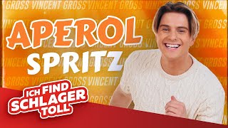 Vincent Gross  Aperol Spritz Offizieller Visualizer [upl. by Kcaj]