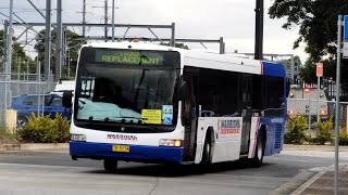 Warrigal Charters TV 5174  Scania L94UB NCBC Downtown [upl. by Lister]