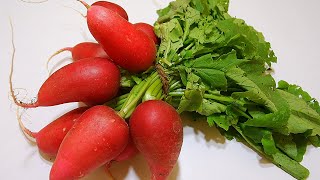 Radish Timelapse [upl. by Blackington210]