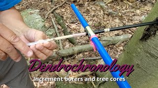 Dendrochronology How to use an increment borer [upl. by Ennaer]