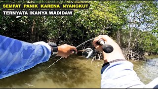 Di kira kakap putih ternyata ikan wadidaw [upl. by Ingunna]