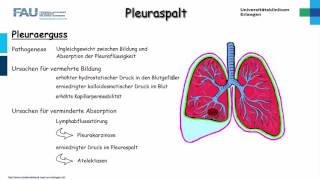 Chirurgie ─ Pleuraspalt Teil 12 [upl. by Claretta777]