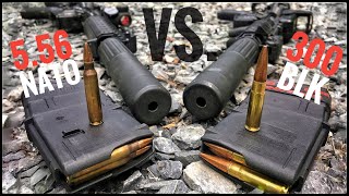 Suppressed 556 vs 300blk  How Quiet Is It Silencer Series ep 04 [upl. by Alik993]