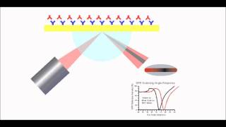 Surface Plasmon Resonance Explained [upl. by Hayouqes453]