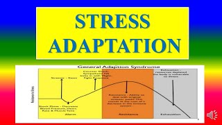 STRESS ADAPTATION  psychology  Applied psychology for Nursing [upl. by Quirita]