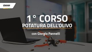 1° CORSO POTATURA DELL’OLIVO [upl. by Asselam]