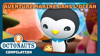 Octonauts  🐚 Aventure marine dans locéan 🪸  Compilation  Dessins animés pour enfants [upl. by Arim28]