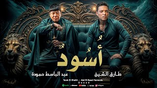 طارق الشيخ و عبد الباسط حمودة  اسود  Abd Elbaset Hamouda  Tarek El Sheikh  Osood Lyrics Video [upl. by Suillenroc]