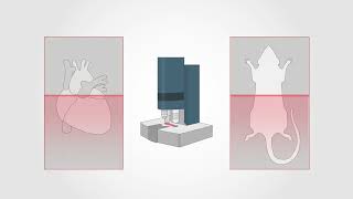 3D spatialomics technology to study complex diseases  Cell December 22 2023 Vol 185 Issue 26 [upl. by Gnilyarg383]