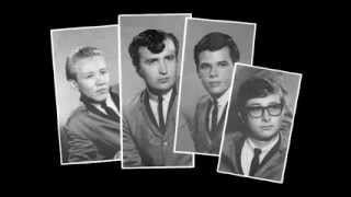 The Trashmen  Surfin Bird Dance Beat 1965 version [upl. by Lamhaj]