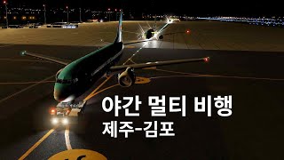 시청자랑 야간 비행하기  ZIBO MOD 737  엑스 플레인 11  X Plane 11 [upl. by Timmie]