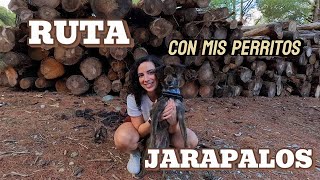 Nos vamos de RUTA 🐕​🌳​ sendero JARAPALOS  TIROPICHÓN [upl. by Cornell]