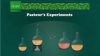 Pasteurs experiments Microbiology biology pasteur microbiology louispasteur [upl. by Edgardo]