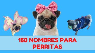 150 NOMBRES CORTOS PARA PERRITAS  MEJORES NOMBRES PARA PERRAS [upl. by Seroka]