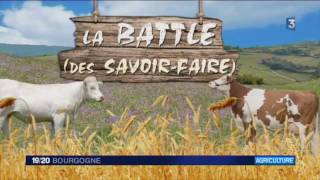 Salon de l’agriculture 2017  le tuto « comment asseoir un mouton de 90 kilos  » [upl. by Simara]