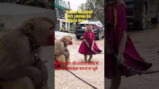 👉🏻💃💓Resham Ka Lehnga Mera Lehenga Hai Mehnga Mera viral trending monkey shorts video like [upl. by Notsrik]