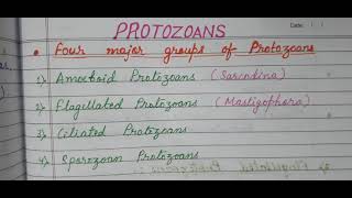 15 class 11 biology Biological Classification lecture15 four major groups of protozoans [upl. by Ydor]