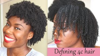 Defined curls on 4c natural hair using the LOC method no gel [upl. by Eceined]