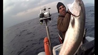 amderjack ΜΑΓΙΑΤΙΚΟ 46 kg sotos fishingwmv [upl. by Nygem5]