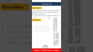 Catalase test  Microbiology  by Imran Yaseen [upl. by Anon519]