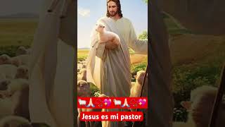 Jesus es mi pastor Nada me Falta 💞🐑🙏🏻💖 music musica amor fe catolicoporelmundo [upl. by Anahsirk674]