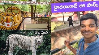 Hyderabad Zoo Park 🐯 Nehru Zoological Park  Raju kanneboina [upl. by Mcnully]