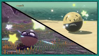 Live Shiny Hisuian Voltorb  evolution in Pokemon Legends Arceus Full Odds [upl. by Iey98]