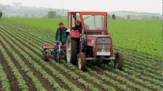 LandwirtIn  Eine Stellenausschreibung [upl. by Notloc]