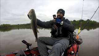 Lake Conroe Stubblefield Bass Fishing [upl. by Naek]