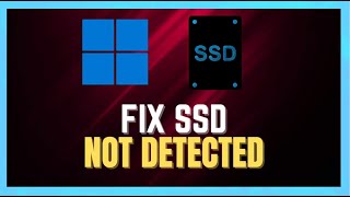 How to Fix SSD Not Showing Up in Windows 1011  Simple Guide [upl. by Ayanat]