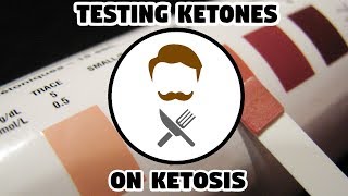 Keto Guide  Testing Ketones AT HOME [upl. by Koorb]